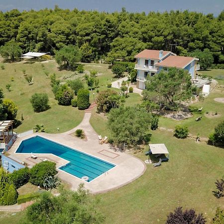 Olivos Villa Sani Παραλία Σάνη Εξωτερικό φωτογραφία