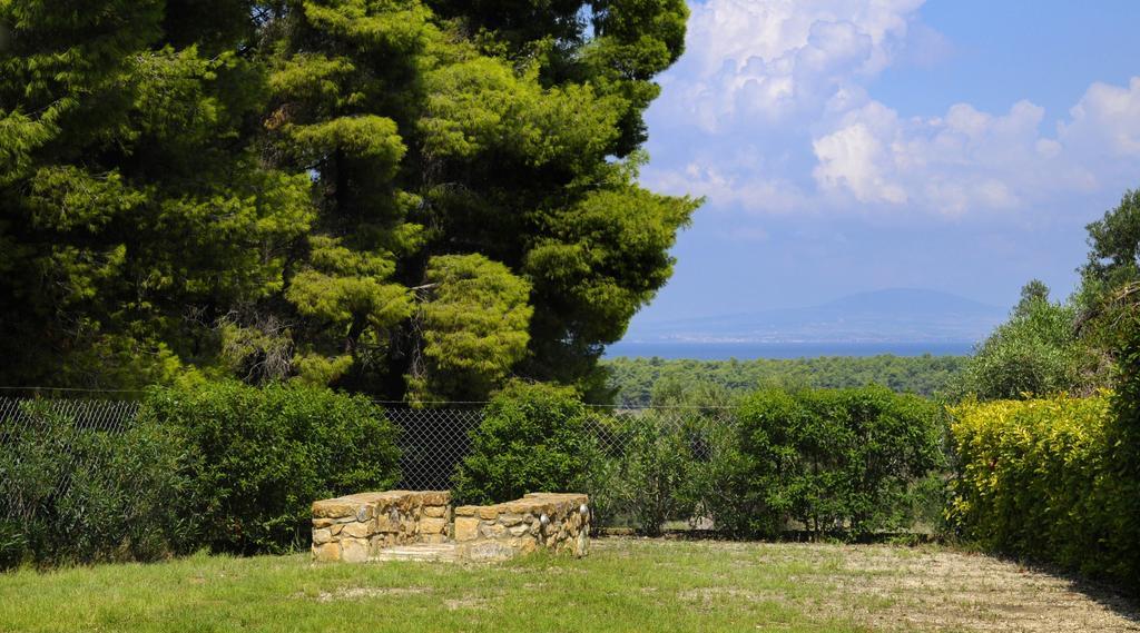 Olivos Villa Sani Παραλία Σάνη Δωμάτιο φωτογραφία